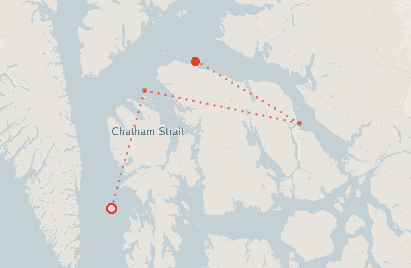 Activity map — real sighting points on an OpenStreetMap basemap