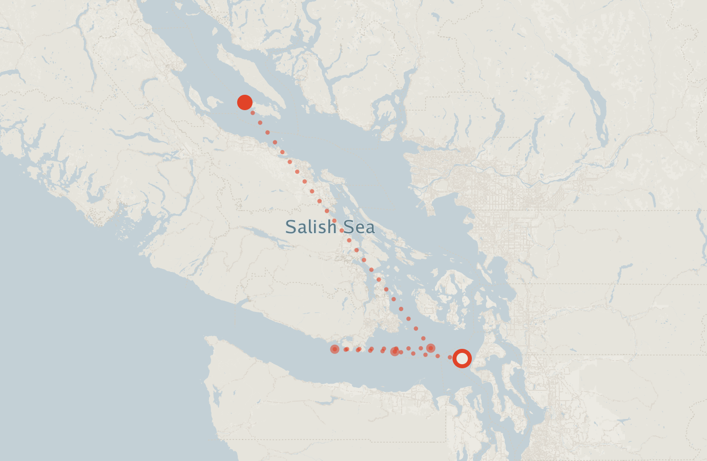 Activity map — real sighting points on an OpenStreetMap basemap