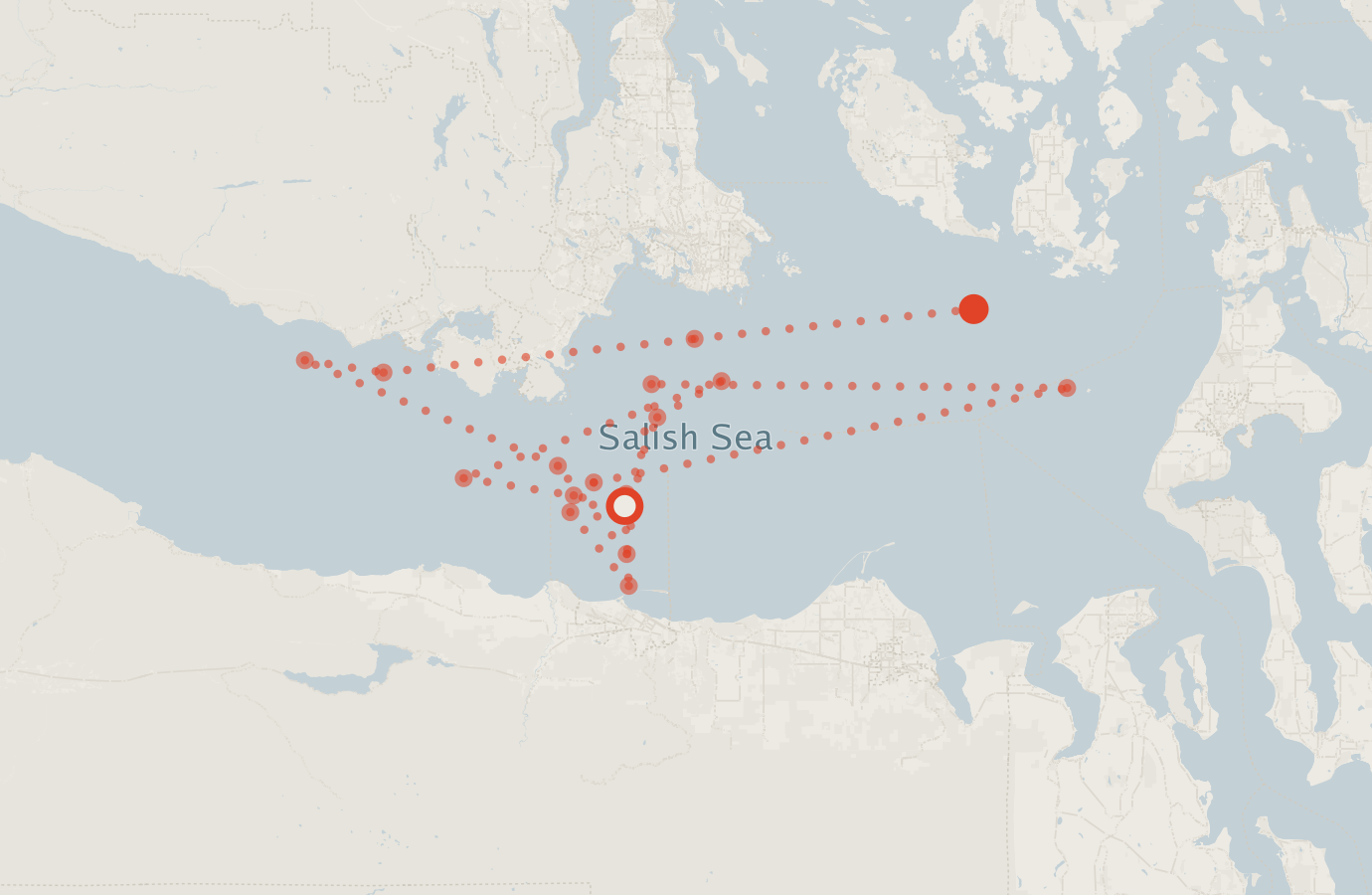Activity map — real sighting points on an OpenStreetMap basemap