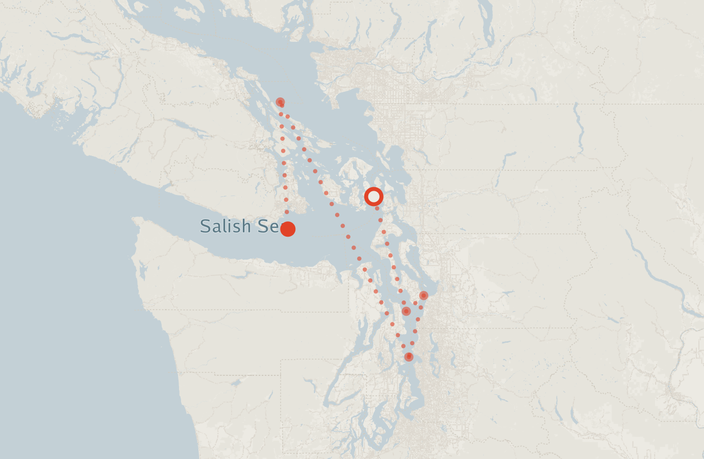Activity map — real sighting points on an OpenStreetMap basemap