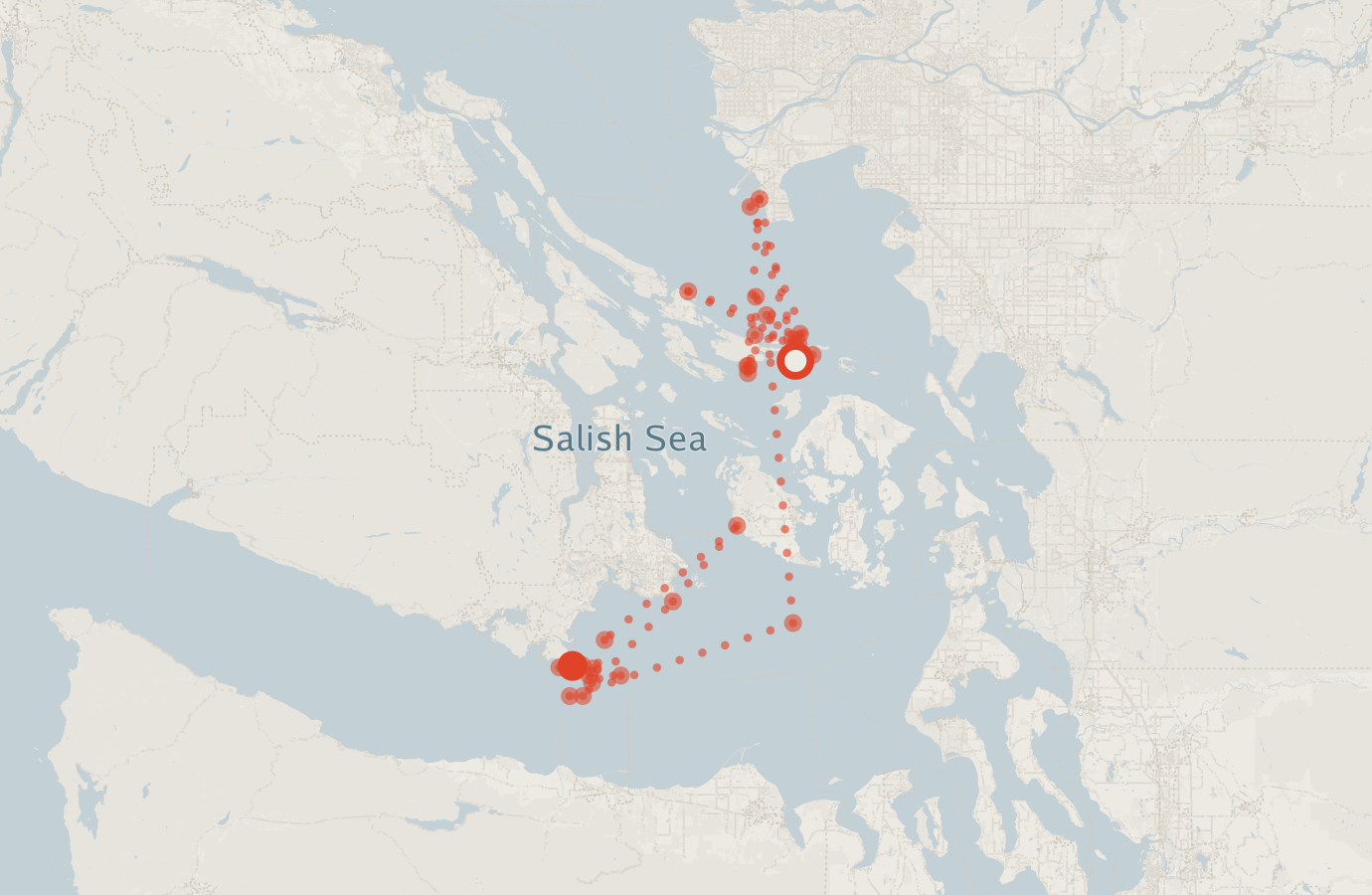 Activity map — real sighting points on an OpenStreetMap basemap