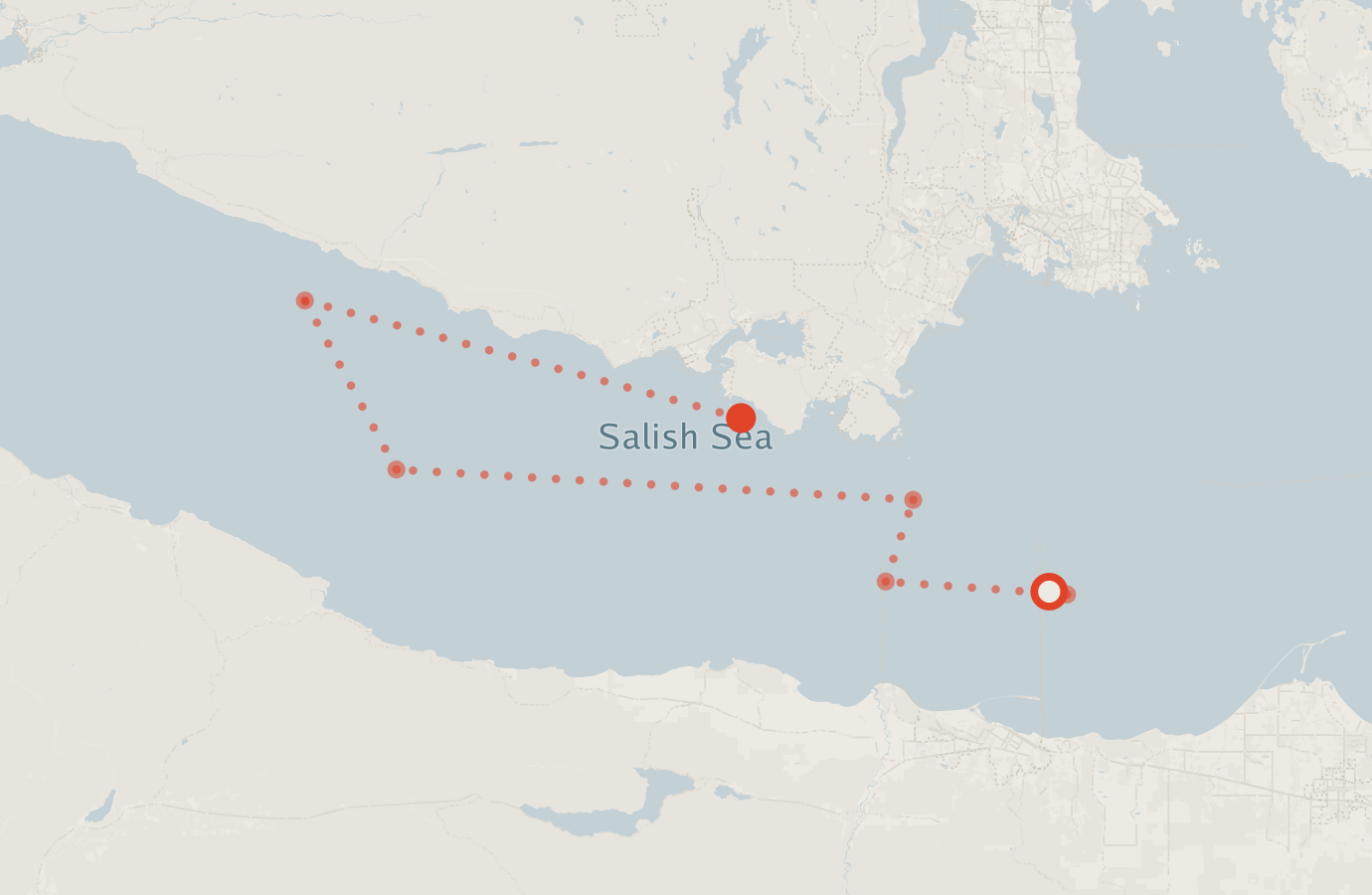 Activity map — real sighting points on an OpenStreetMap basemap