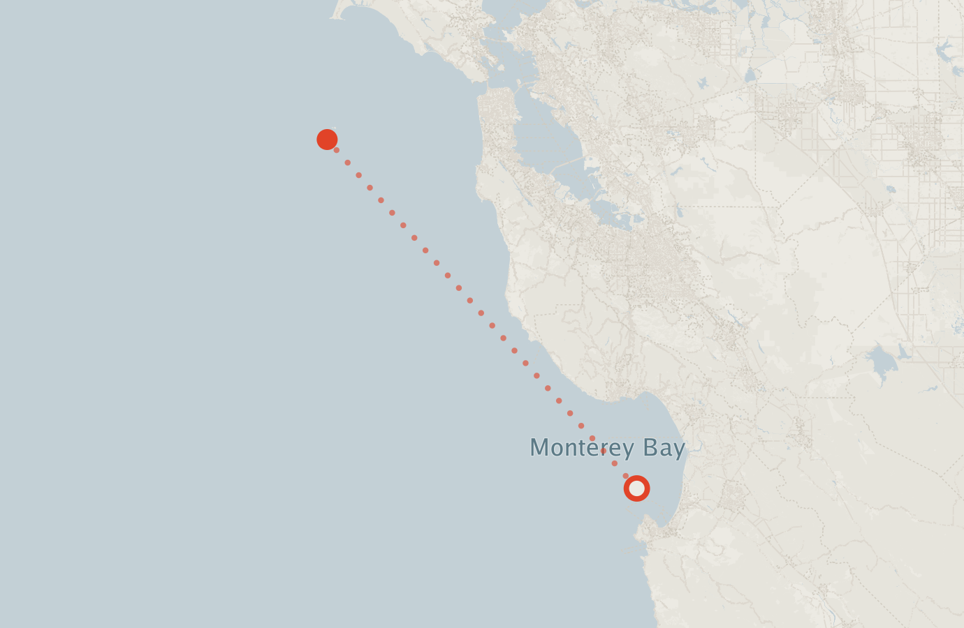 Activity map — real sighting points on an OpenStreetMap basemap