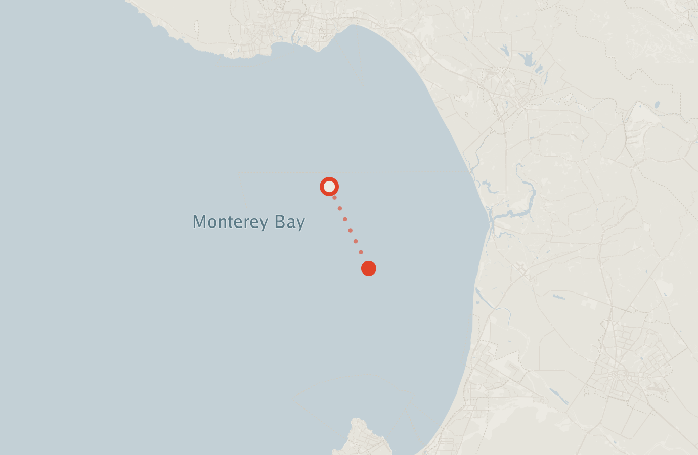 Activity map — real sighting points on an OpenStreetMap basemap