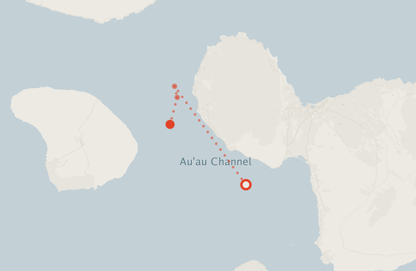 Activity map — real sighting points on an OpenStreetMap basemap
