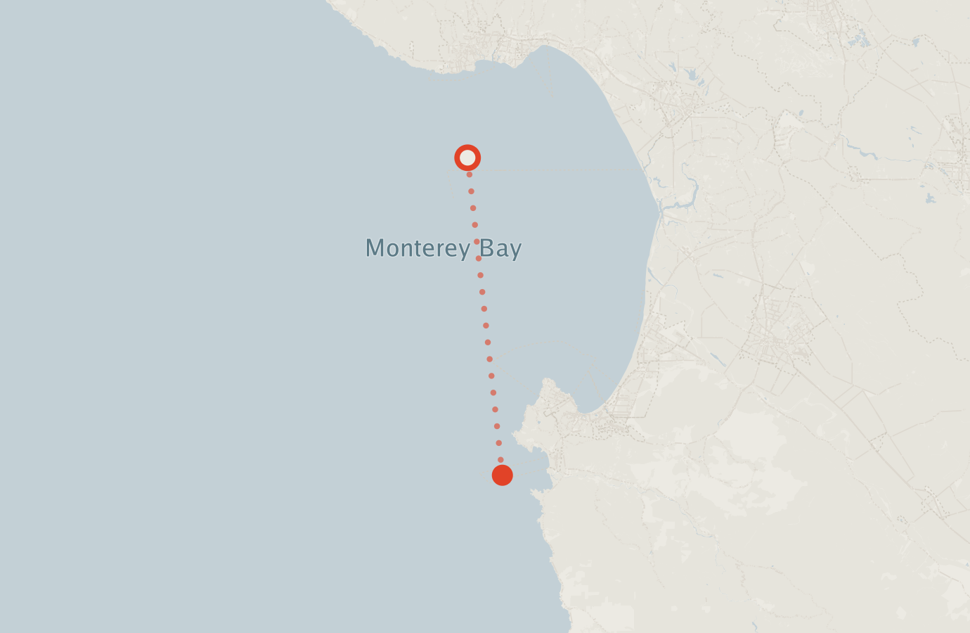 Activity map — real sighting points on an OpenStreetMap basemap