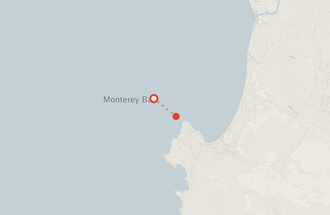 Activity map — real sighting points on an OpenStreetMap basemap