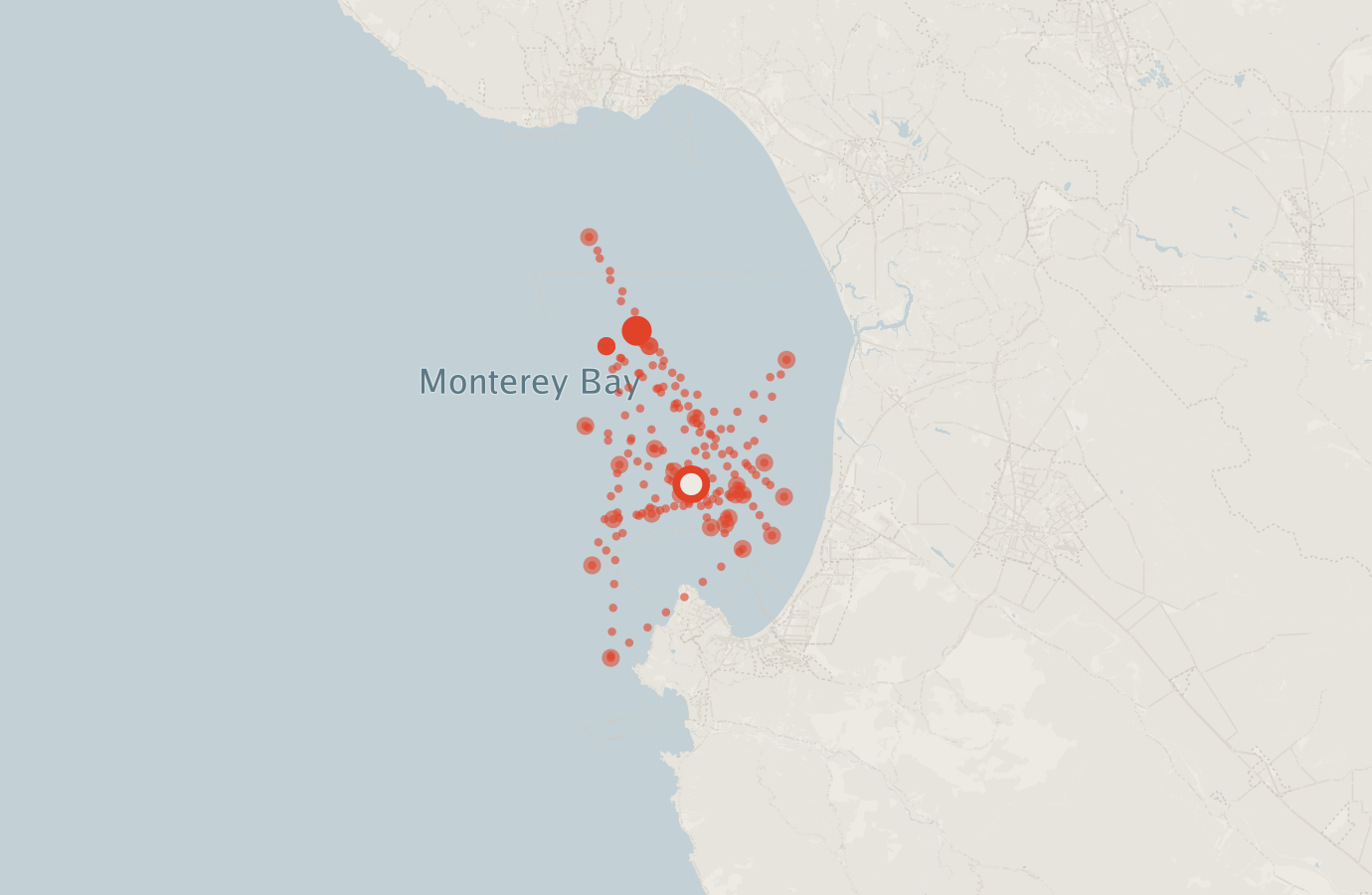 Activity map — real sighting points on an OpenStreetMap basemap