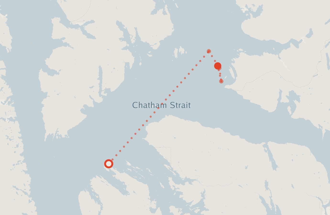 Activity map — real sighting points on an OpenStreetMap basemap