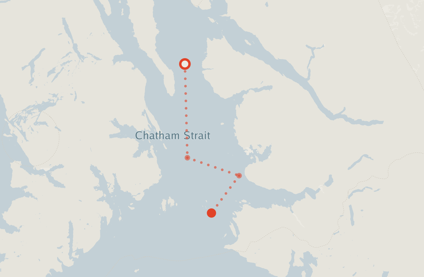Activity map — real sighting points on an OpenStreetMap basemap