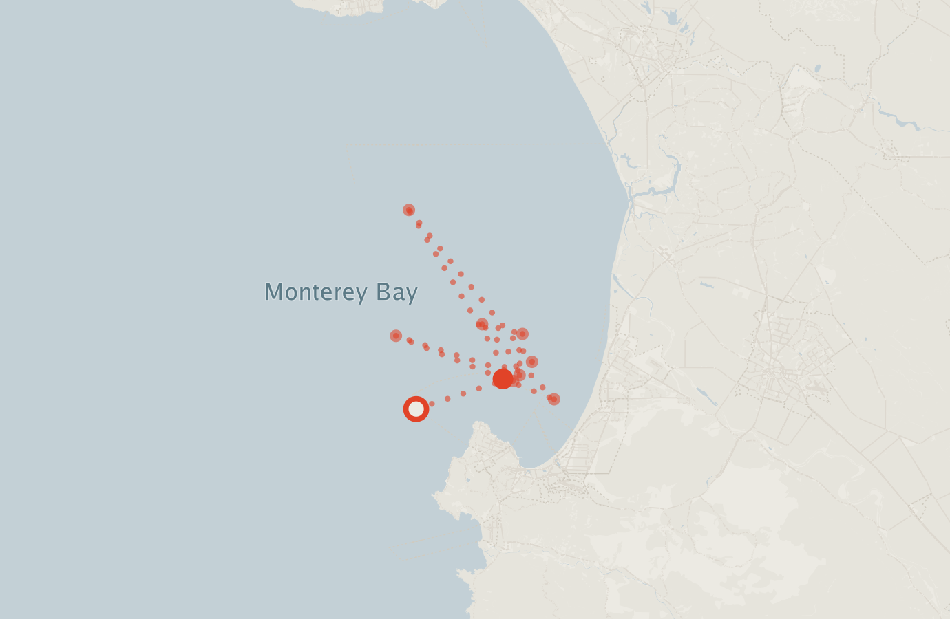 Activity map — real sighting points on an OpenStreetMap basemap