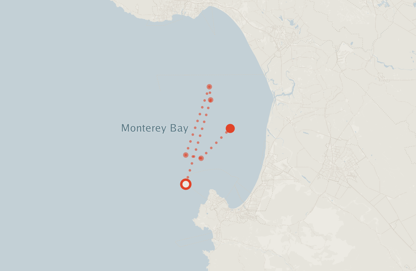 Activity map — real sighting points on an OpenStreetMap basemap