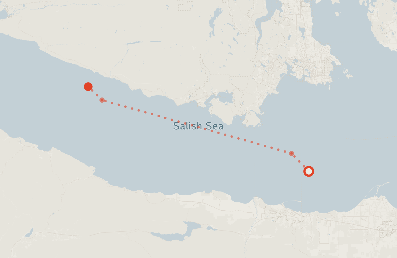 Activity map — real sighting points on an OpenStreetMap basemap