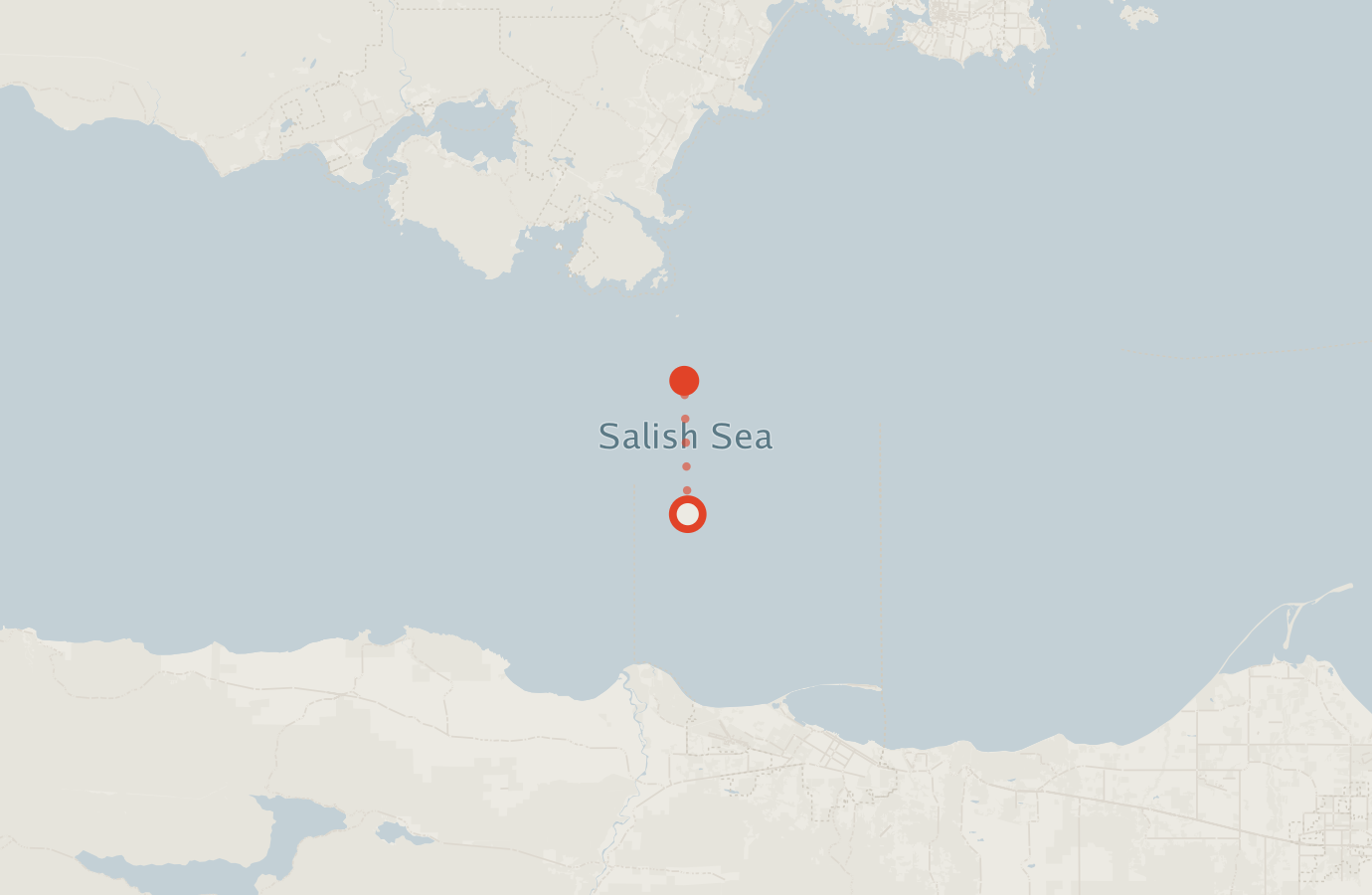 Activity map — real sighting points on an OpenStreetMap basemap