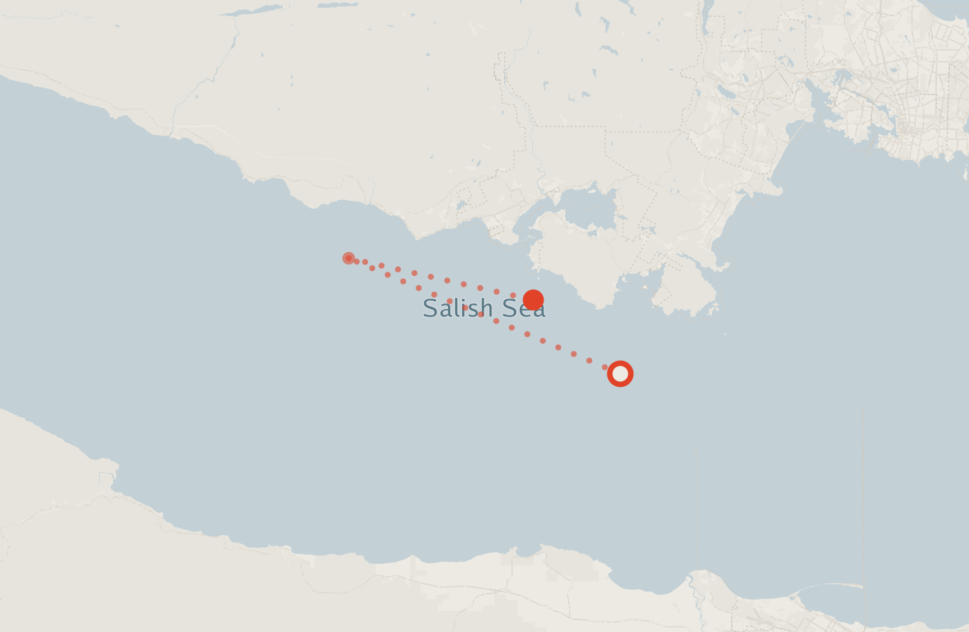 Activity map — real sighting points on an OpenStreetMap basemap