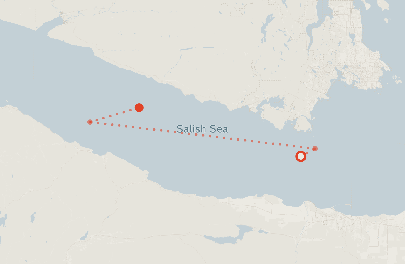 Activity map — real sighting points on an OpenStreetMap basemap