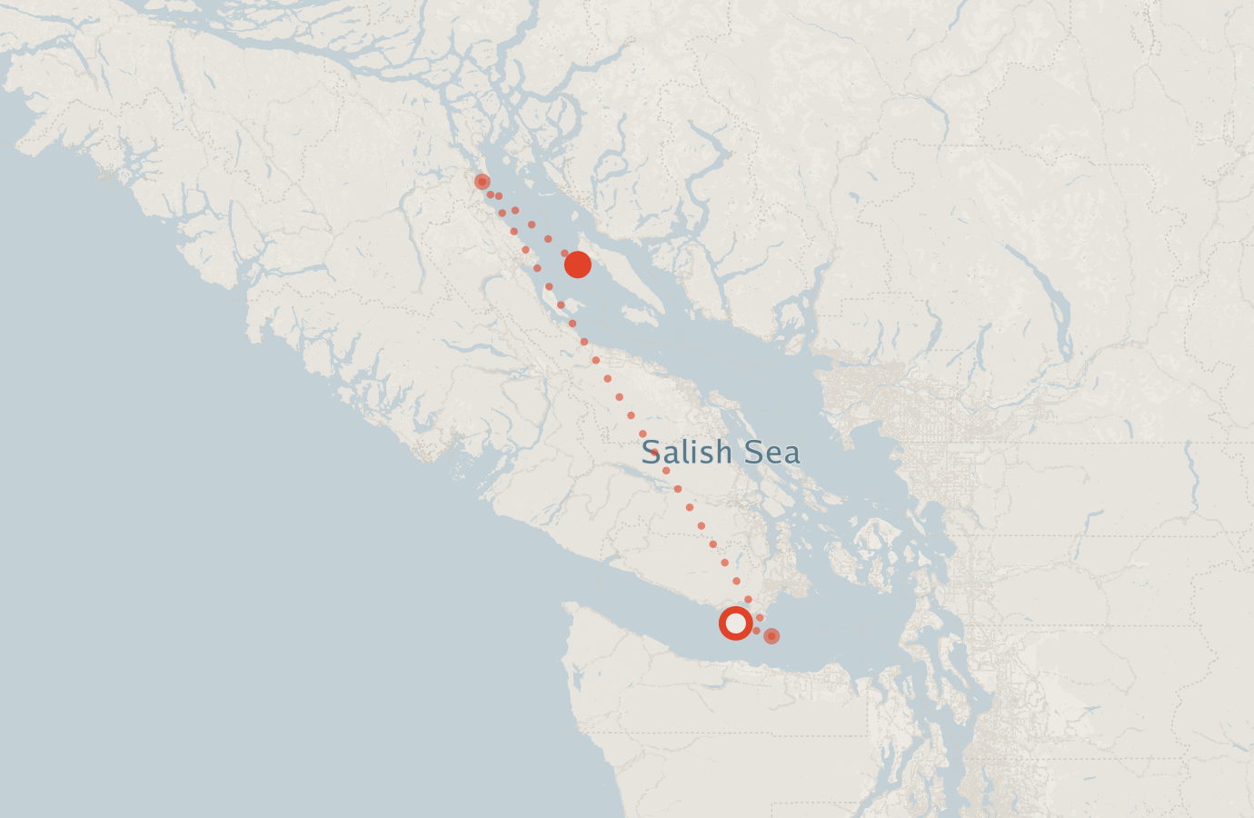 Activity map — real sighting points on an OpenStreetMap basemap