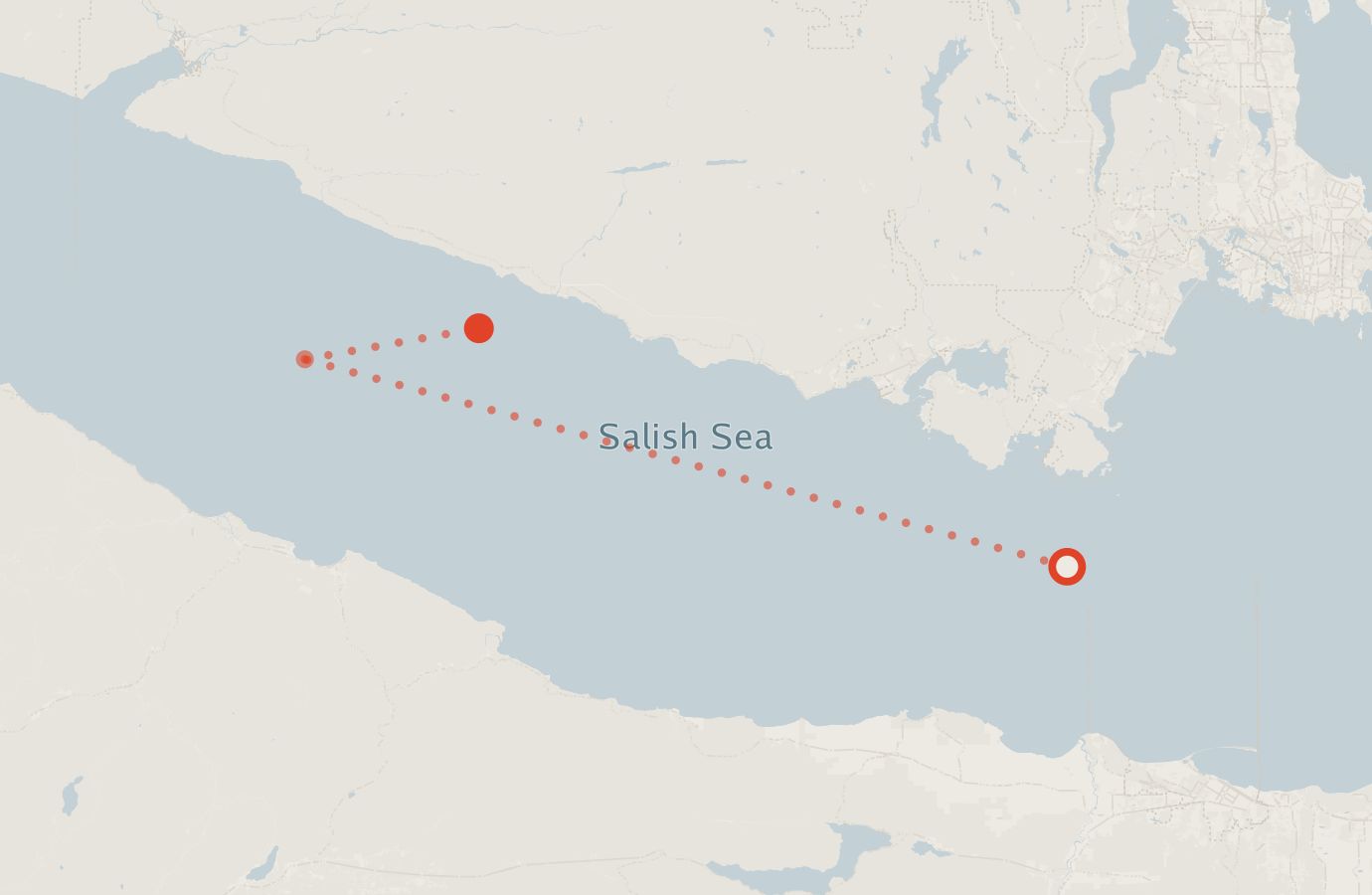 Activity map — real sighting points on an OpenStreetMap basemap