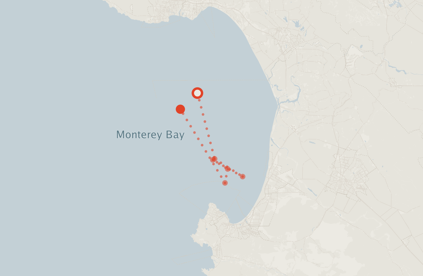 Activity map — real sighting points on an OpenStreetMap basemap