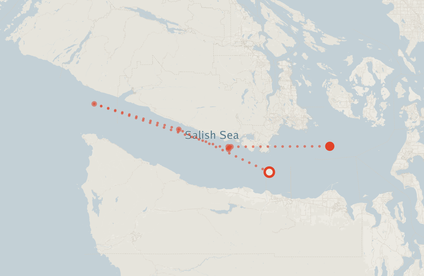 Activity map — real sighting points on an OpenStreetMap basemap