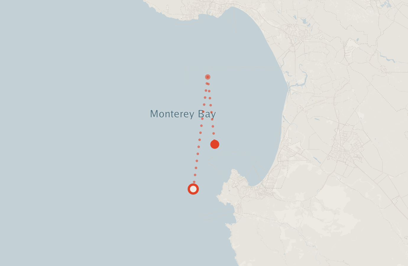 Activity map — real sighting points on an OpenStreetMap basemap
