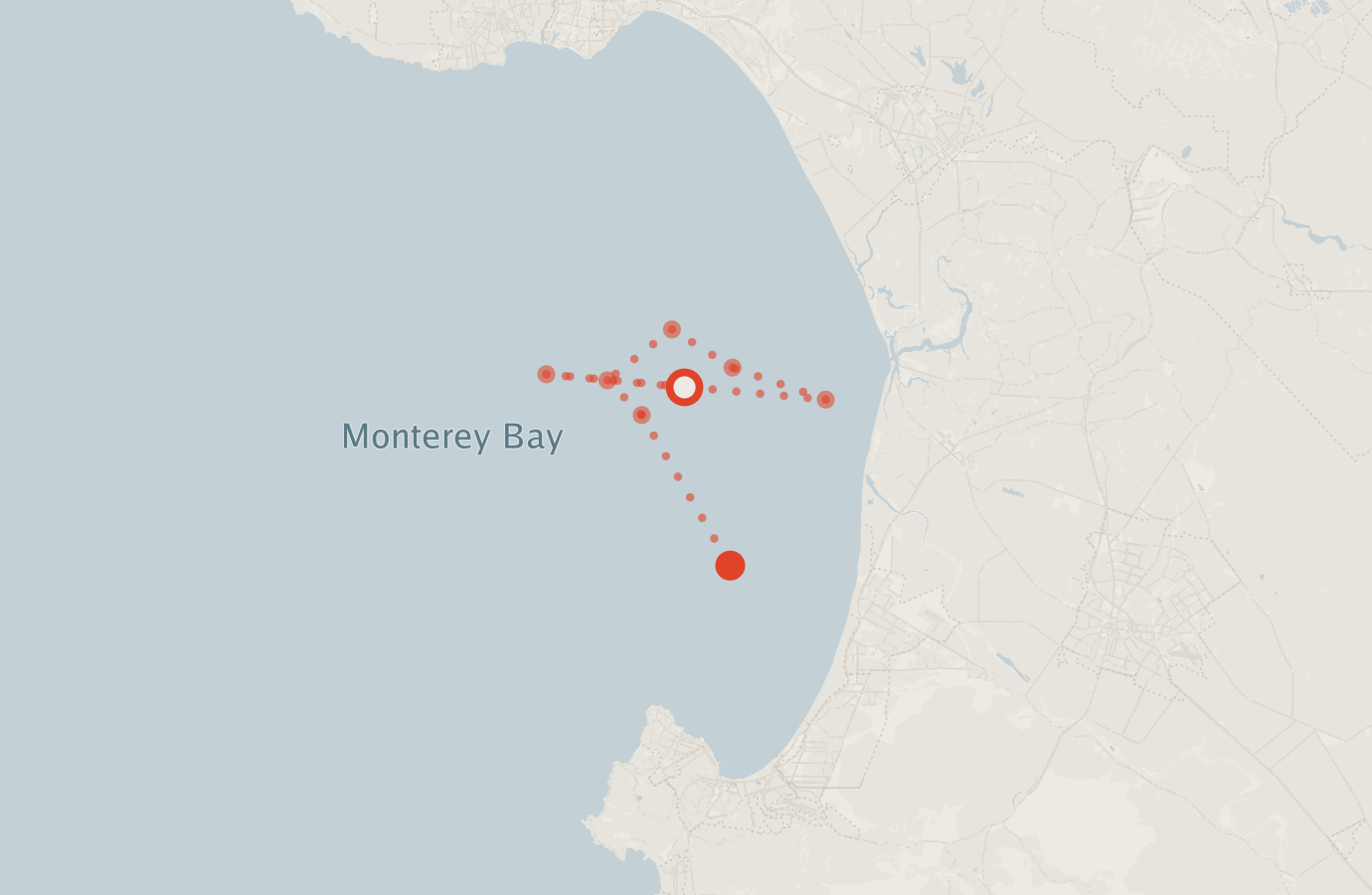 Activity map — real sighting points on an OpenStreetMap basemap