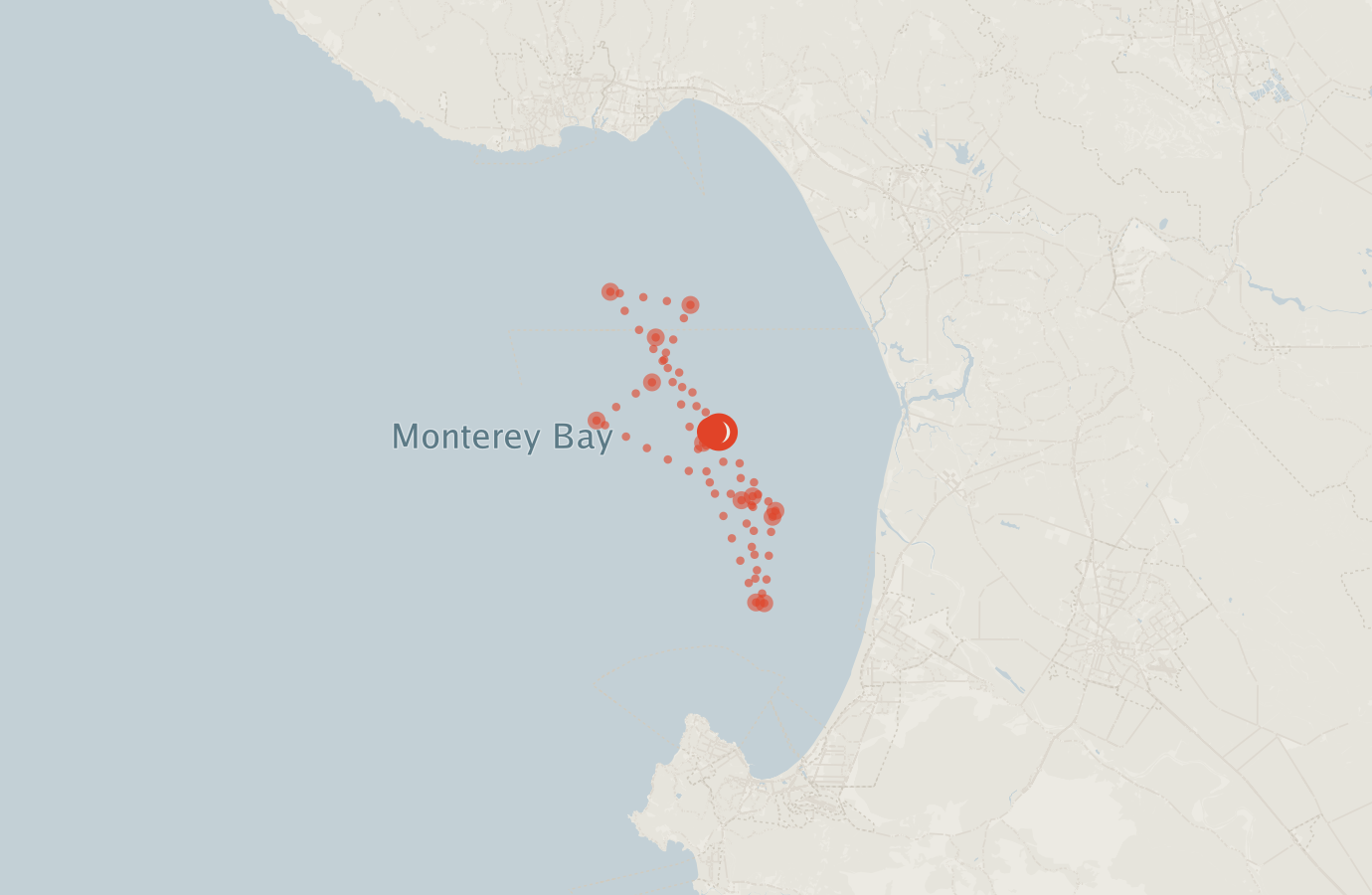 Activity map — real sighting points on an OpenStreetMap basemap