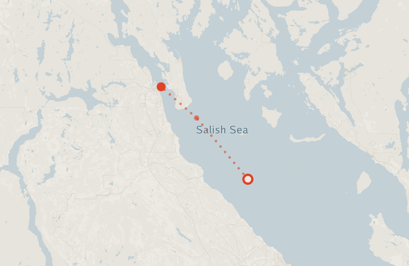 Activity map — real sighting points on an OpenStreetMap basemap