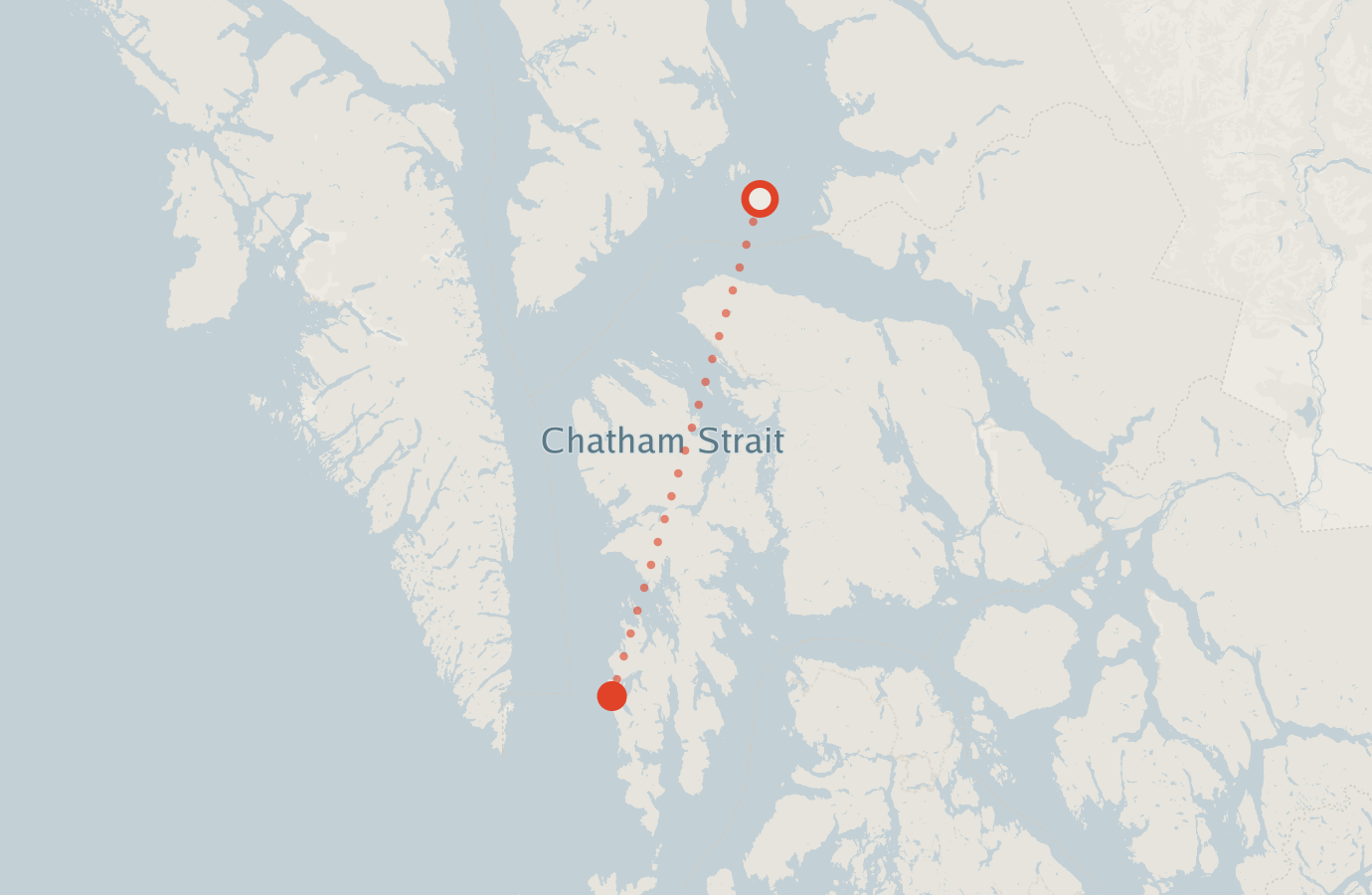 Activity map — real sighting points on an OpenStreetMap basemap