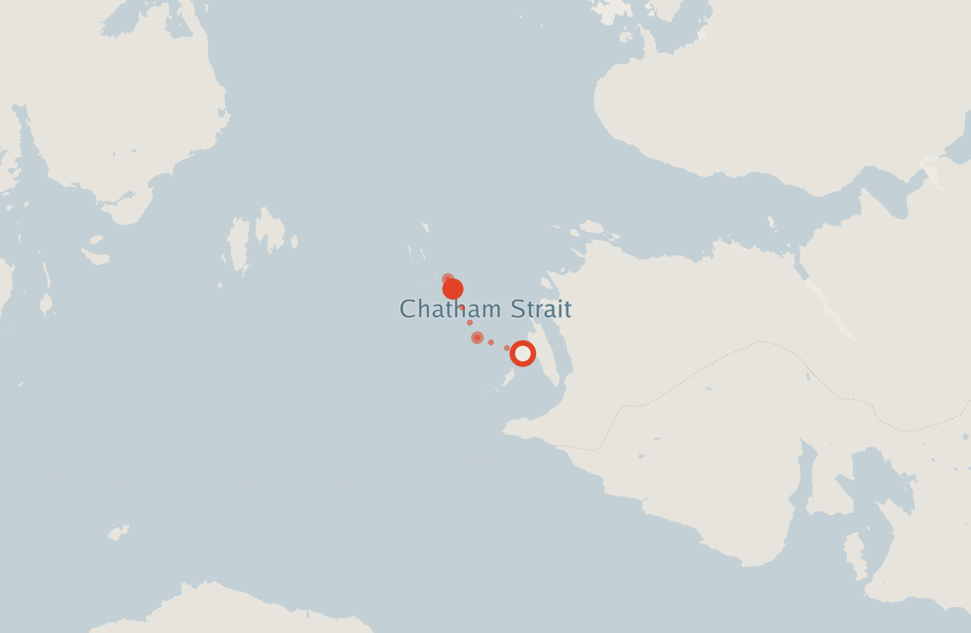 Activity map — real sighting points on an OpenStreetMap basemap