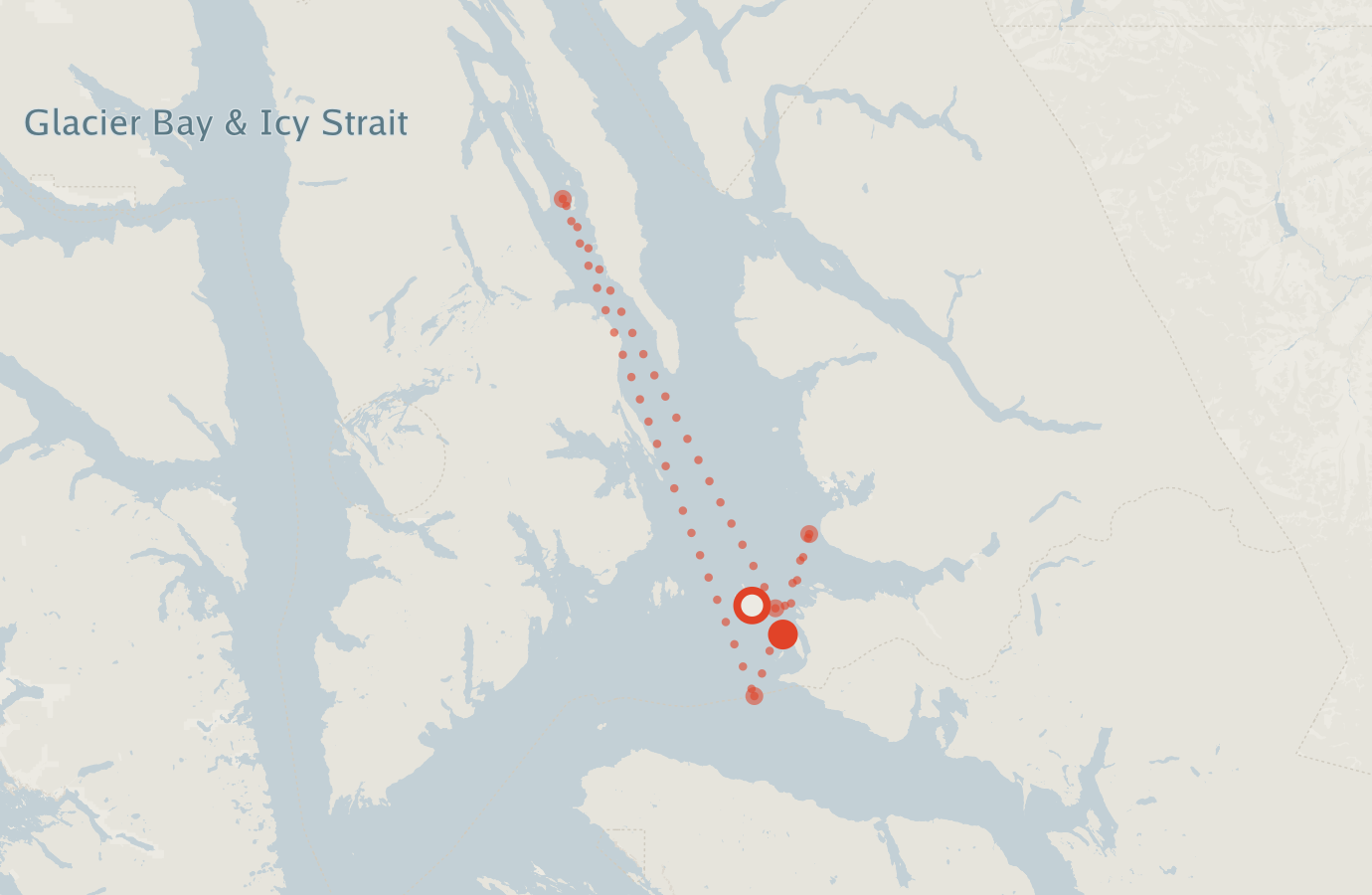 Activity map — real sighting points on an OpenStreetMap basemap