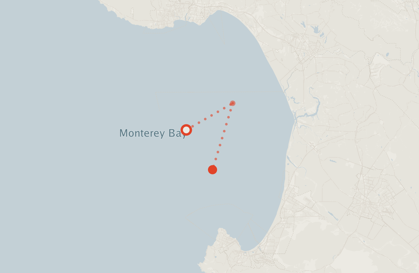 Activity map — real sighting points on an OpenStreetMap basemap