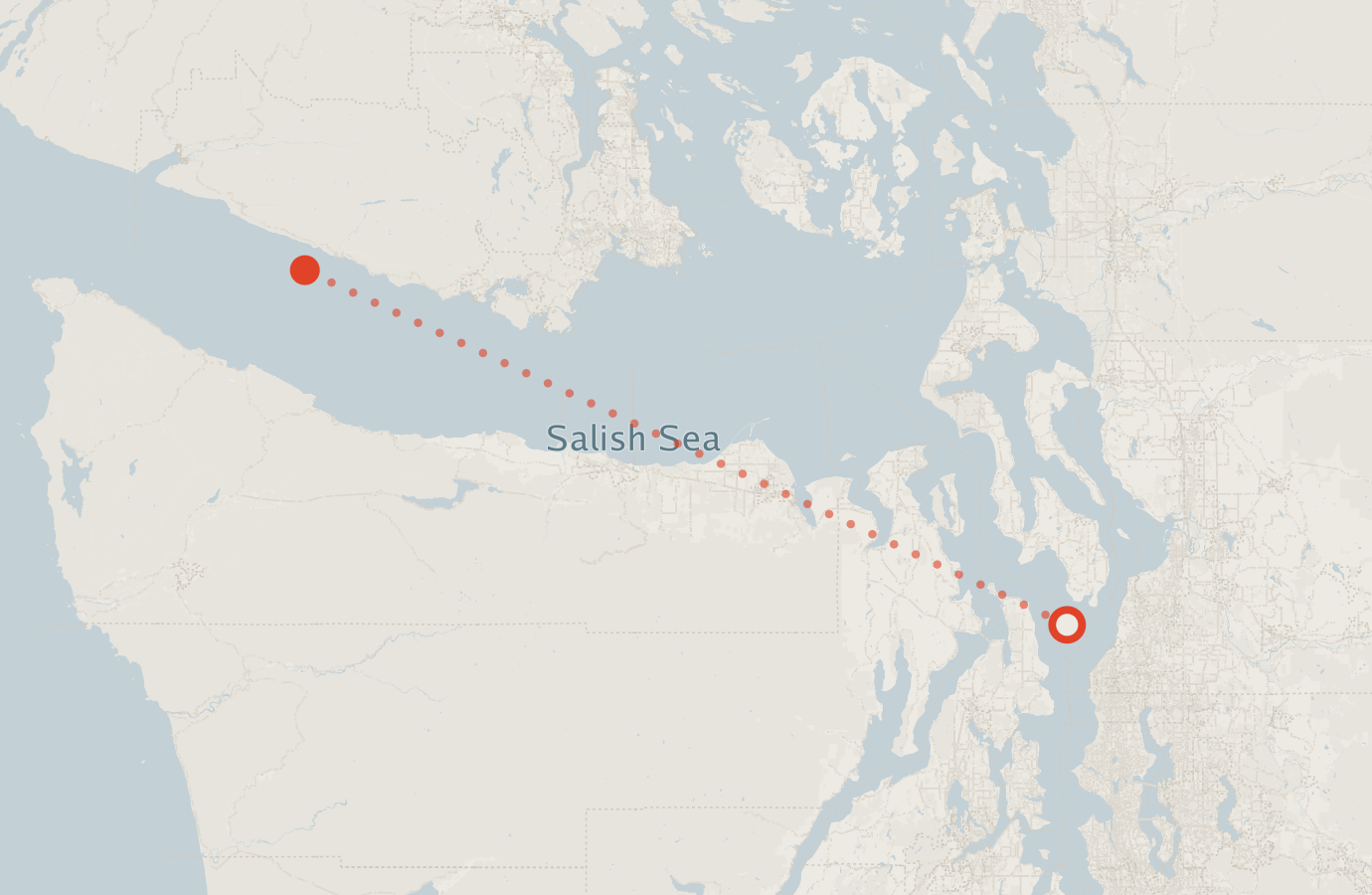 Activity map — real sighting points on an OpenStreetMap basemap