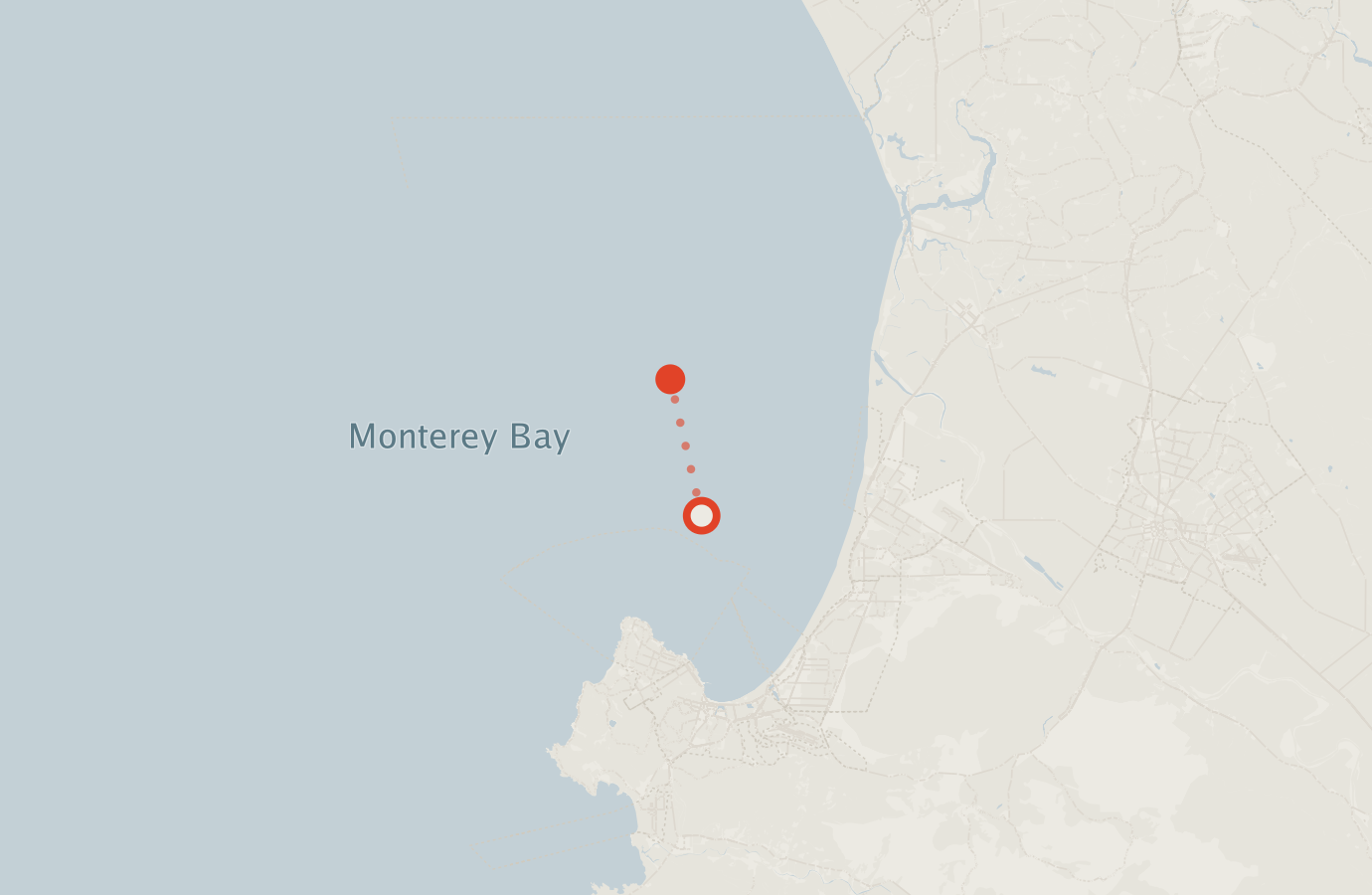 Activity map — real sighting points on an OpenStreetMap basemap