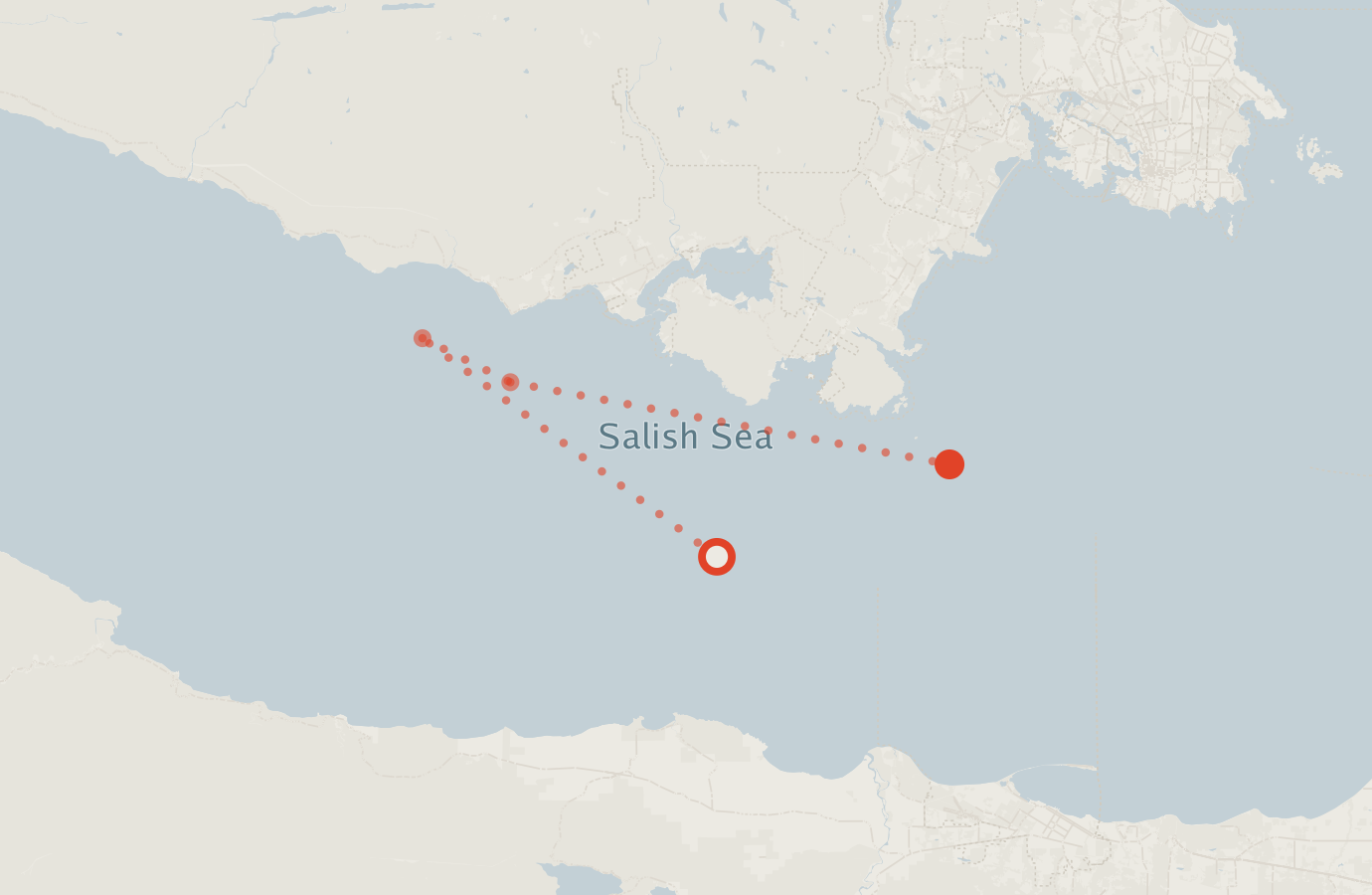 Activity map — real sighting points on an OpenStreetMap basemap