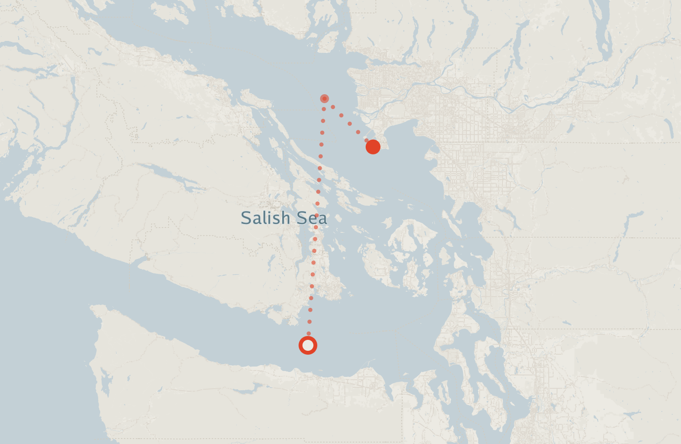 Activity map — real sighting points on an OpenStreetMap basemap