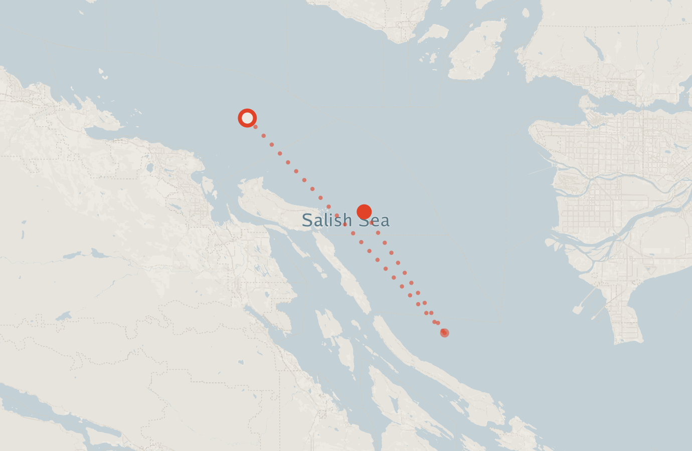 Activity map — real sighting points on an OpenStreetMap basemap