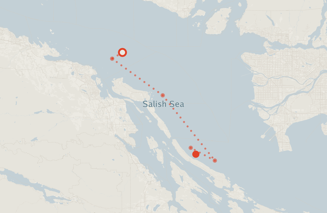 Activity map — real sighting points on an OpenStreetMap basemap