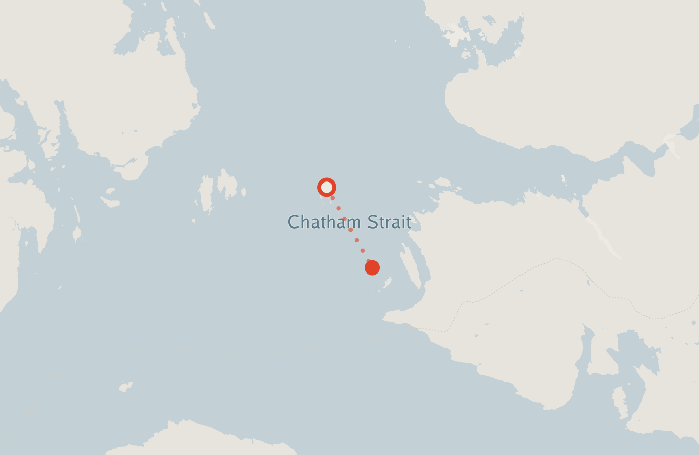 Activity map — real sighting points on an OpenStreetMap basemap