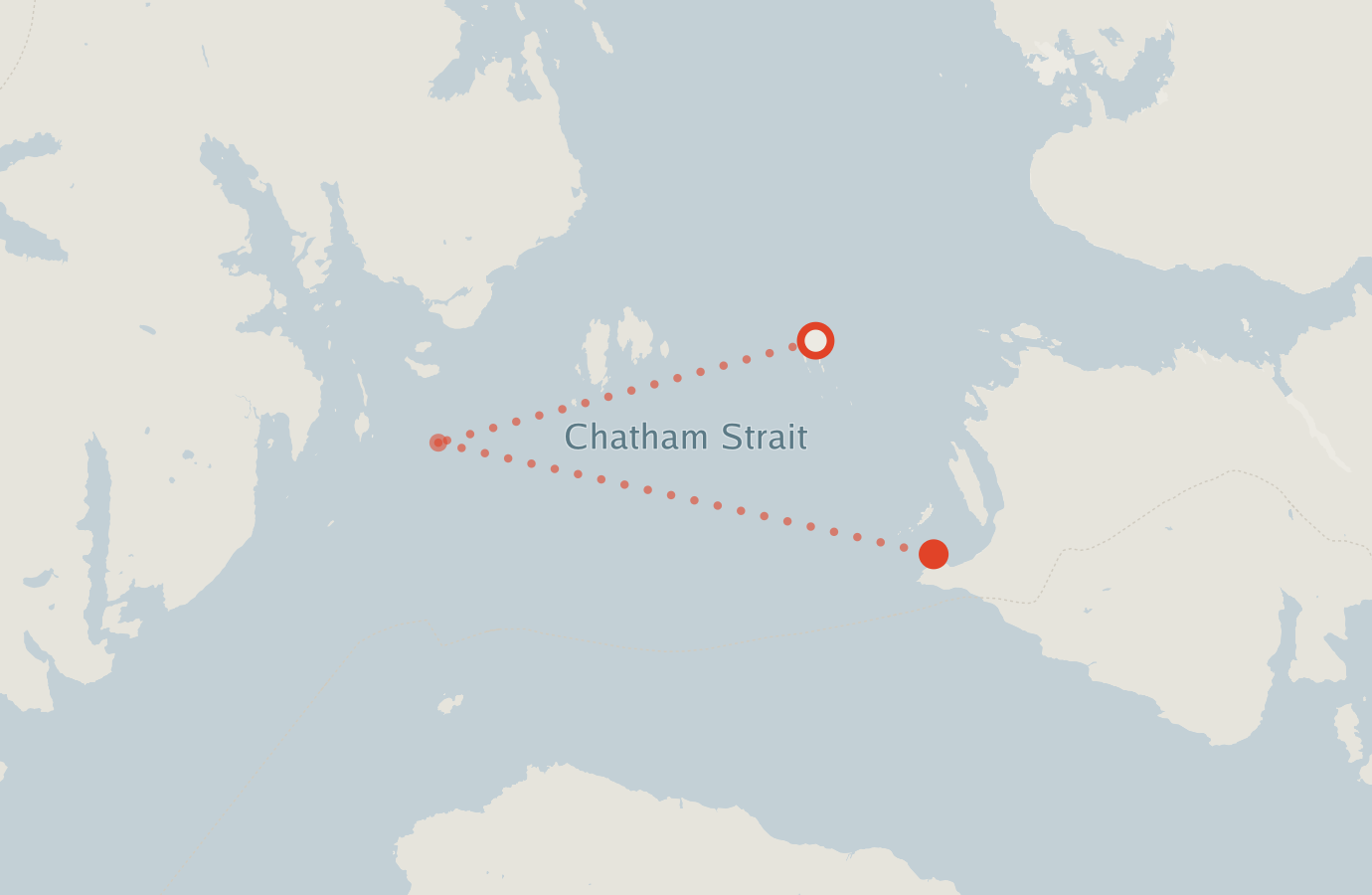 Activity map — real sighting points on an OpenStreetMap basemap