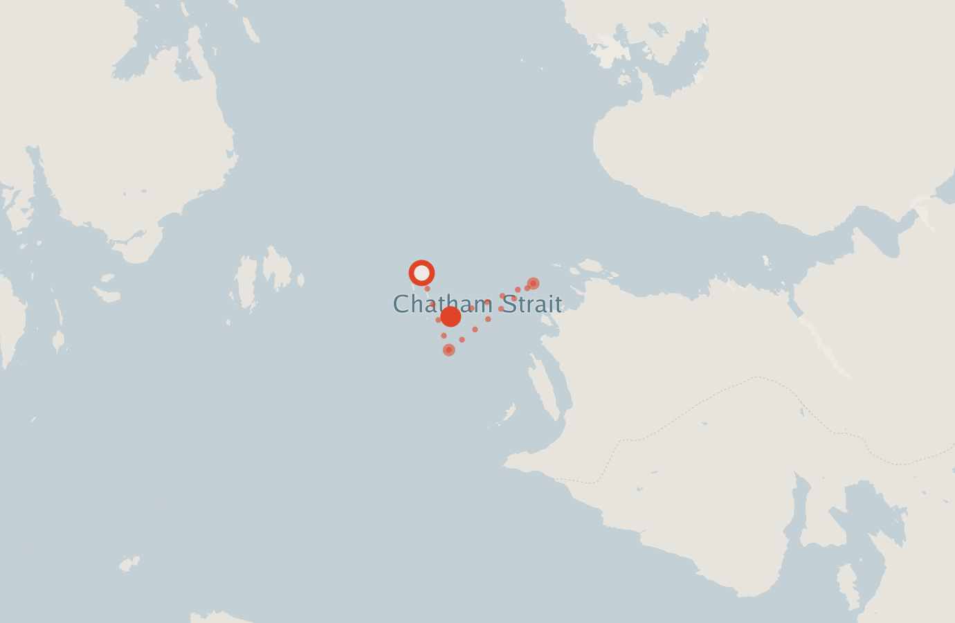 Activity map — real sighting points on an OpenStreetMap basemap