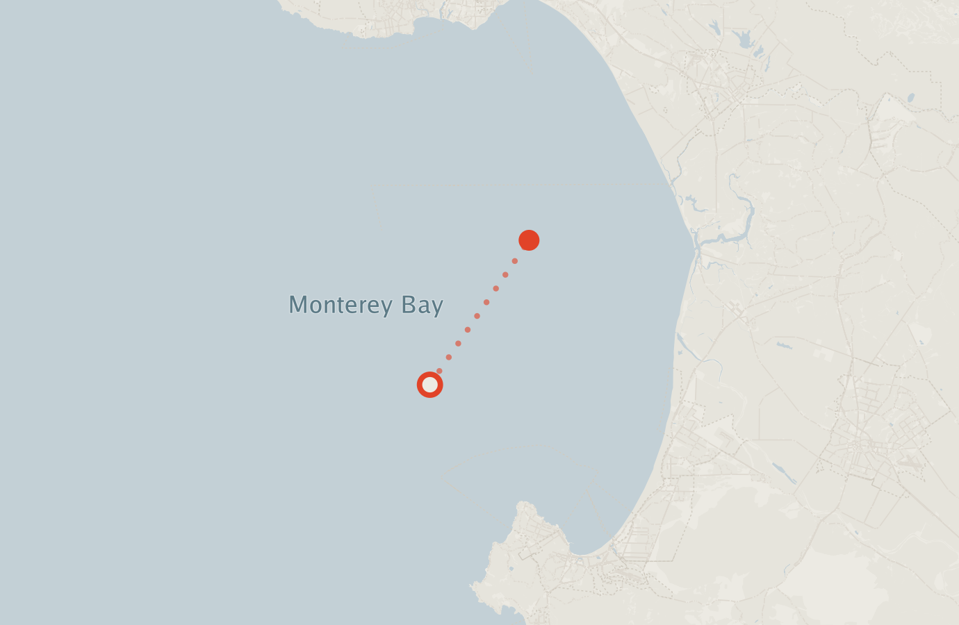 Activity map — real sighting points on an OpenStreetMap basemap