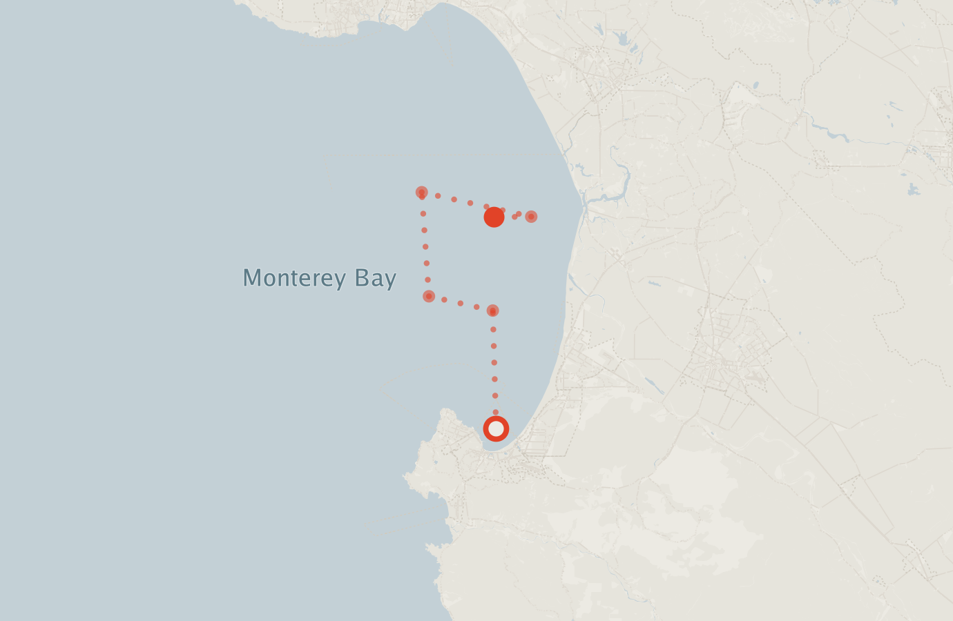 Activity map — real sighting points on an OpenStreetMap basemap