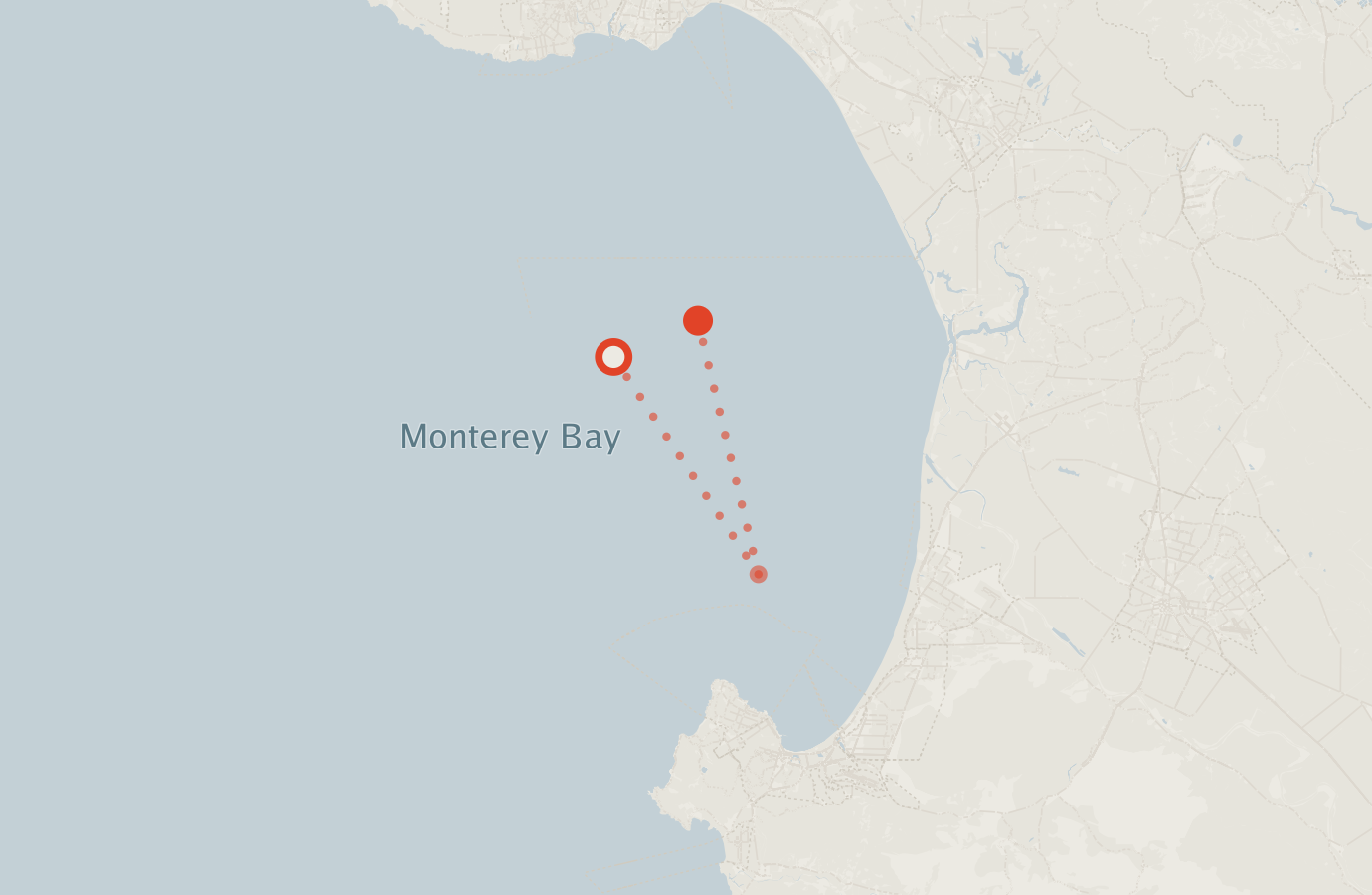Activity map — real sighting points on an OpenStreetMap basemap