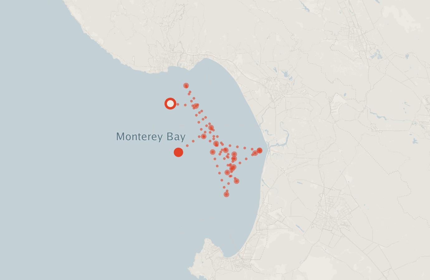 Activity map — real sighting points on an OpenStreetMap basemap