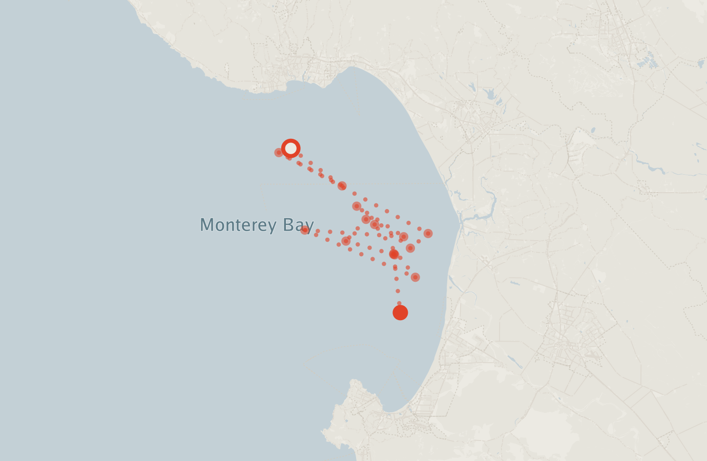 Activity map — real sighting points on an OpenStreetMap basemap