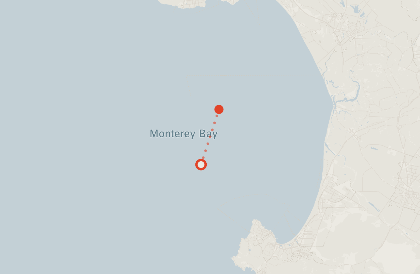 Activity map — real sighting points on an OpenStreetMap basemap