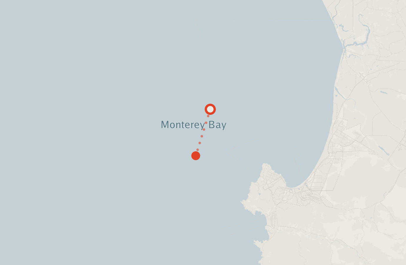 Activity map — real sighting points on an OpenStreetMap basemap