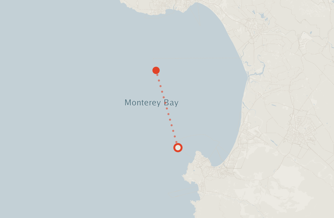 Activity map — real sighting points on an OpenStreetMap basemap