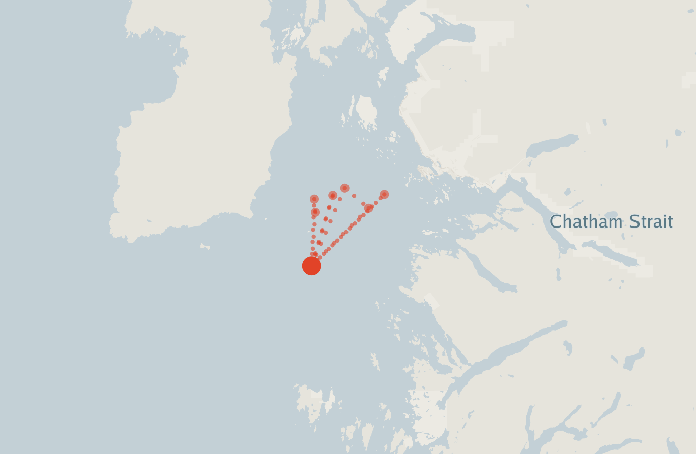 Activity map — real sighting points on an OpenStreetMap basemap
